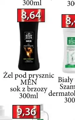 ADEKS Zel pod prysznic MEN oferta
