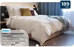 Mrówka Kołdra z wypełnieniem naturalnym oferta