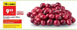 Biedronka Żurawina 250 g Biedronka oferta