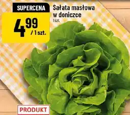 Polomarket Sałata masłowa oferta