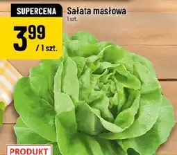 Polomarket Sałata masłowa oferta