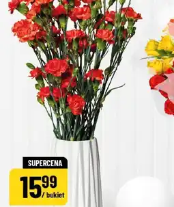 Polomarket Goździki oferta