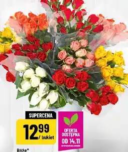 Polomarket Róże oferta