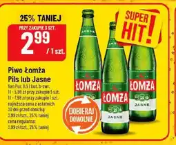 Polomarket Piwo Lomża oferta