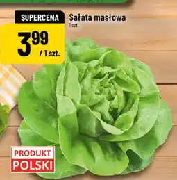 Polomarket Sałata masłowa POLOmarket oferta