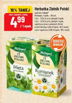 Polomarket Herbatka Zielnik Polski Rumianek Herbapol oferta