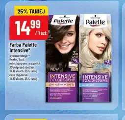 Polomarket Farba Palette Intensive oferta