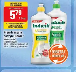 Polomarket Płyn do mycia naczyń Ludwik oferta