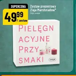 Polomarket Zestaw prezentowy oferta