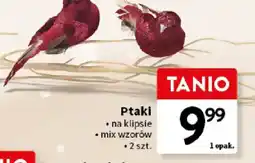 Intermarche Ptaki oferta