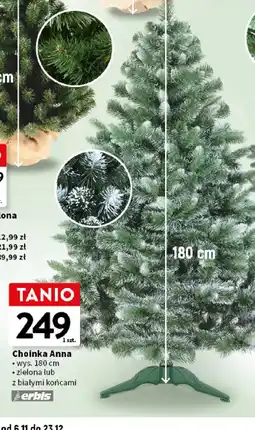 Intermarche Choinka Anna oferta