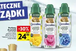 Intermarche Perfumy do prania Coccolino oferta