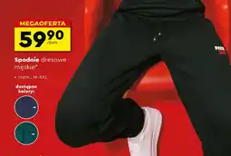 Biedronka Spodnie dresowe oferta