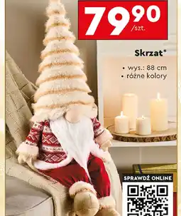 Biedronka Skrzat oferta