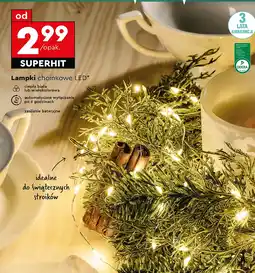 Biedronka Lampki choinkowe LED oferta