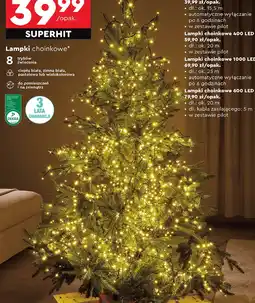 Biedronka Lampki choinkowe 500 LED oferta