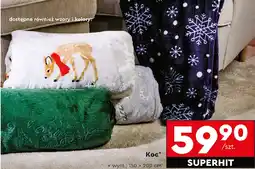 Biedronka Koc oferta