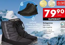 Biedronka Sniegowce oferta