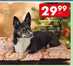 Biedronka Legowisko dla psa oferta