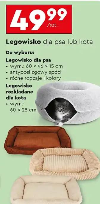 Biedronka Legowisko oferta