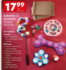 Biedronka Zabawka lub akcesoria oferta