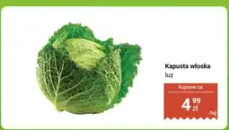 Dino Kapusta włoska luz Dino oferta