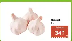 Dino Czosnek luz Dino oferta