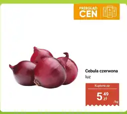 Dino Cebula czerwona luz Dino oferta