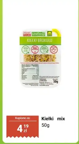 Dino Kiełki mix Uniflora oferta