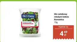 Dino Mix sałatkowy młodych listków Romantica Fit&Easy oferta