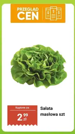 Dino Sałata masłowa szt Dino oferta