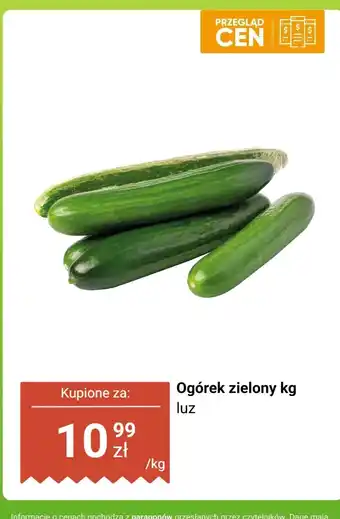 Dino Ogórek zielony luz Dino oferta