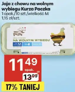 Delikatesy Centrum Jaja z chowu na wolnym wybiegu Kurza Paczka oferta