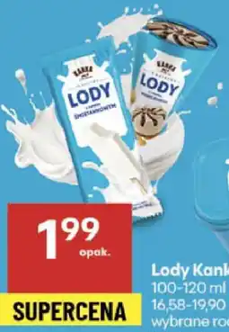 Delikatesy Centrum Lody Kanka 100-120ml oferta