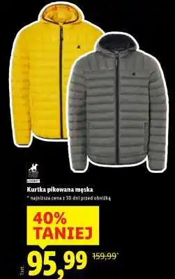 Lidl Kurtka pikowana męska oferta