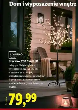 Lidl Drzewko, 200 diod LED oferta