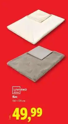 Lidl LIVARNO home Koc oferta
