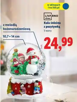 Lidl Kula śnieżna z pozytywką oferta