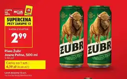 Biedronka Piwo Żubr Jasne Pełne, 500 ml oferta