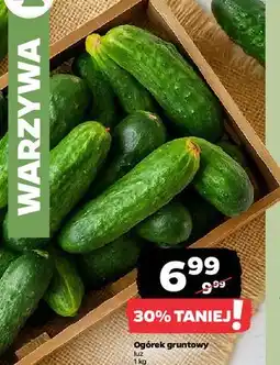 Netto Ogórek gruntowy oferta