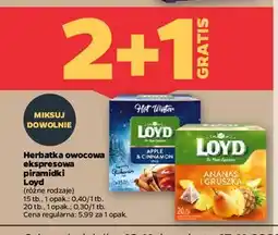 Netto Herbata ananas i gruszka Loyd Tea The Magic Experience oferta