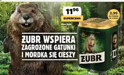 Netto Piwo Żubr 1768 oferta