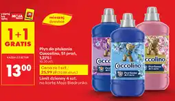 Biedronka Płyn do płukania Coccolino oferta