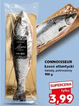 Kaufland Łosoś atlantycki patroszony Connoisseur oferta