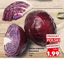 Kaufland Kapusta czerwona oferta