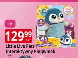 E.Leclerc Pingwinek interaktywny little live pets Cobi oferta