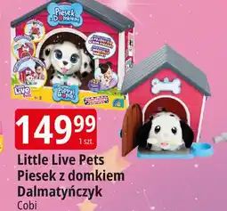 E.Leclerc Little live pets piesek dalmatyńczyk z domkiem Cobi oferta