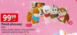 E.Leclerc Piesek pluszowy Adar oferta