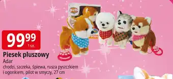 E.Leclerc Piesek pluszowy Adar oferta