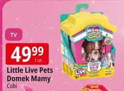 E.Leclerc Little live pets domek mamy Cobi oferta